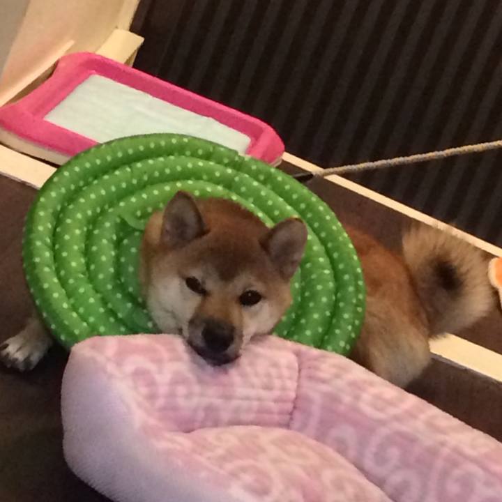 18b44e64 7717 4a2f 95d3 f310d6c70537