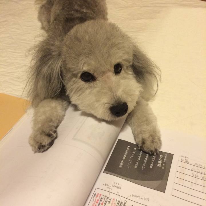 18b49e4f d654 47cc 8039 cfc309cf775b