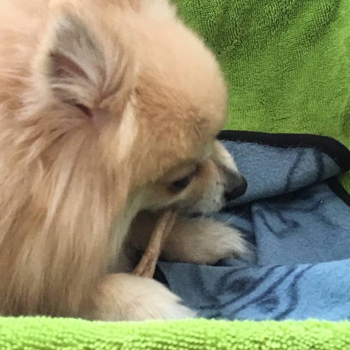 18b4e990 2b34 4933 9542 7f29ff57df84