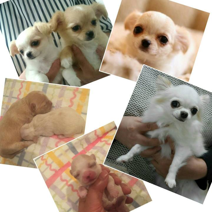 18b52933 365e 4cb3 916c 354369ca2ad5