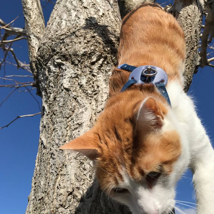 18b5578b 34b8 4afb a0f7 8e074b07792f