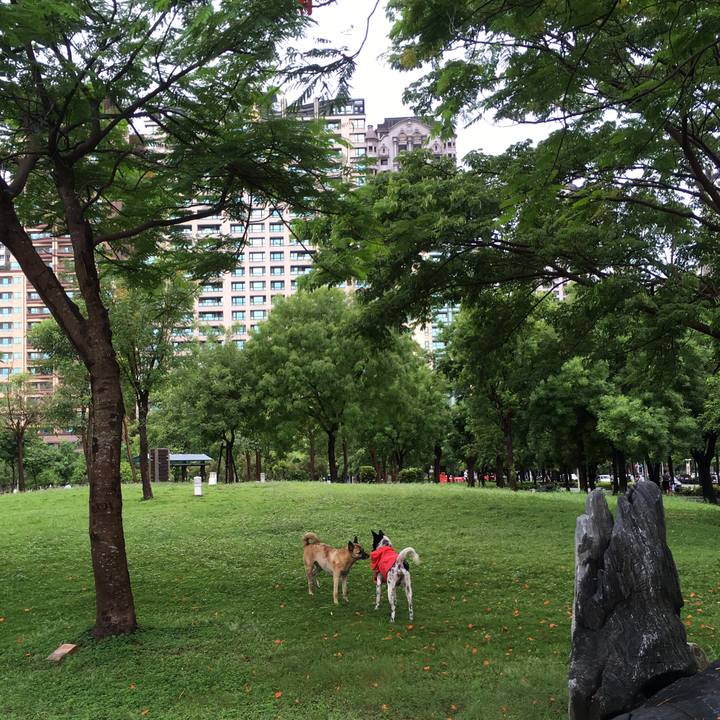 18b5e78e 498a 4c8e 841a ef16b13565bf