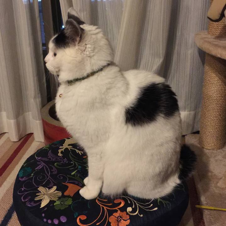 18b66728 cff9 4fec 8648 570ac969b24e