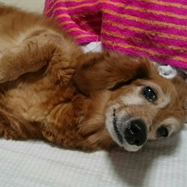 18b7a08b 5f54 42a7 a8d7 048b58f1abe7