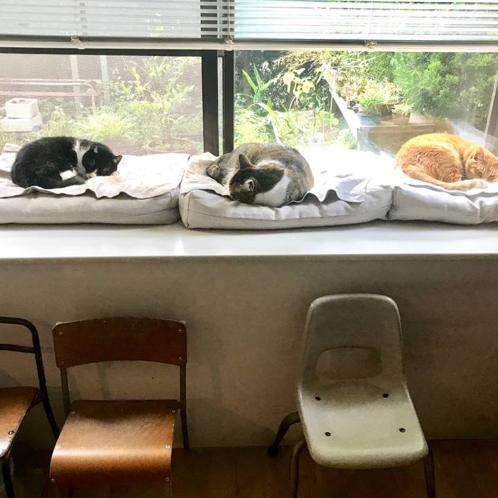 18b80ed1 9589 49a4 acf8 f026129c653b