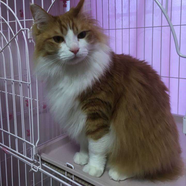 18b90045 bed0 40d7 8d71 11ee0c5bdd2b