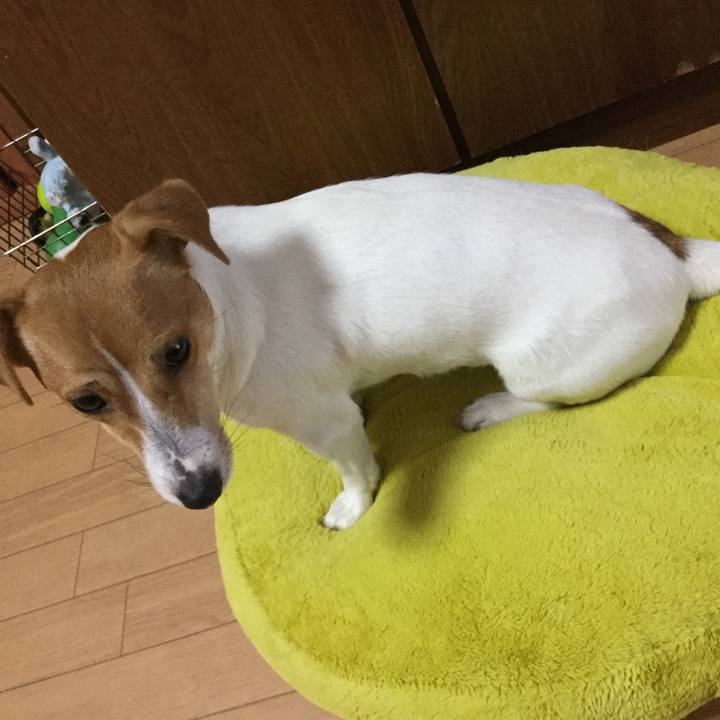 18ba5739 7568 4d39 a99d da1c607dc665