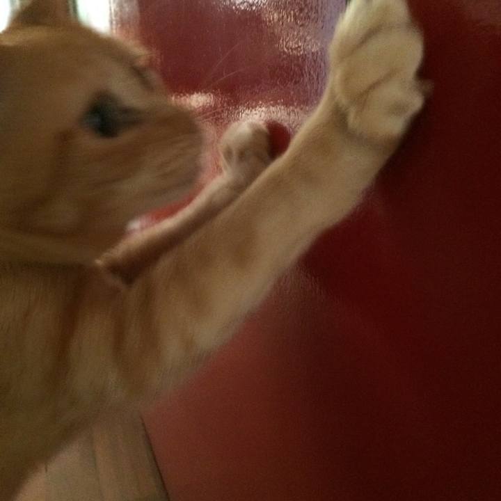 18ba9a27 de83 404d 8382 052fee12fa71