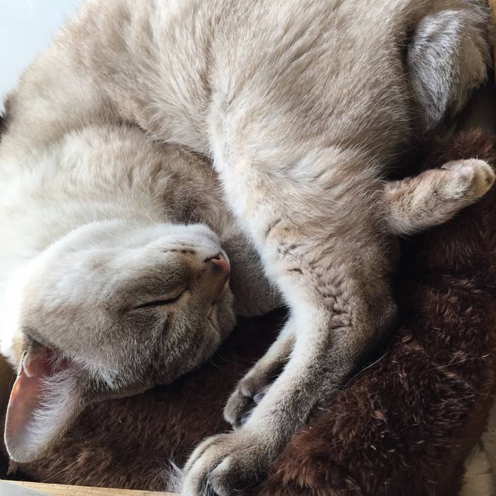 18bb404f db5d 4f59 a07a 7c5adf9ae637