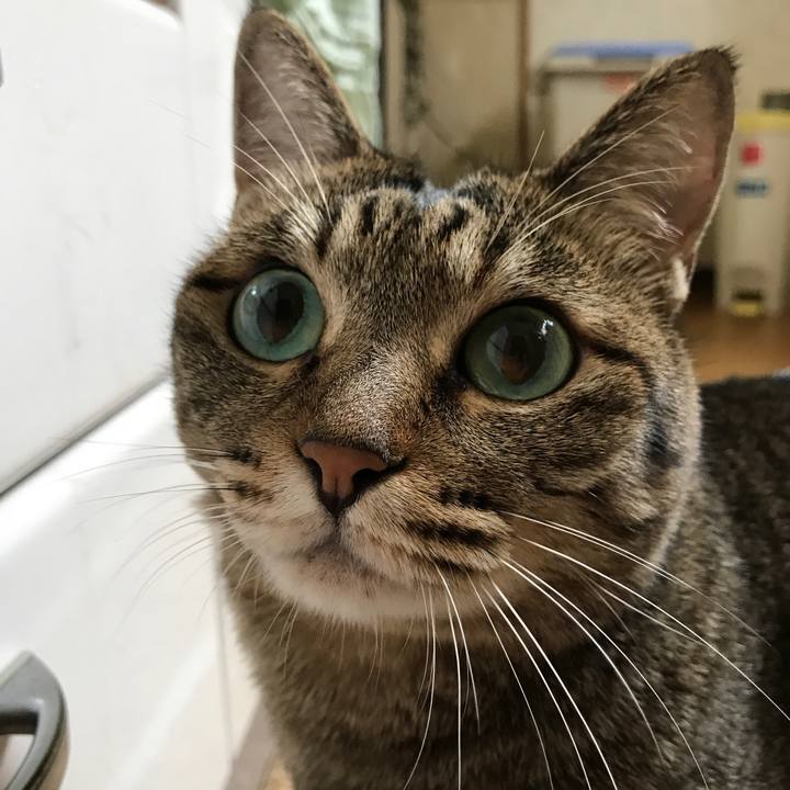 18bc3087 cfe9 45a7 aaa6 d66d576c9c2f