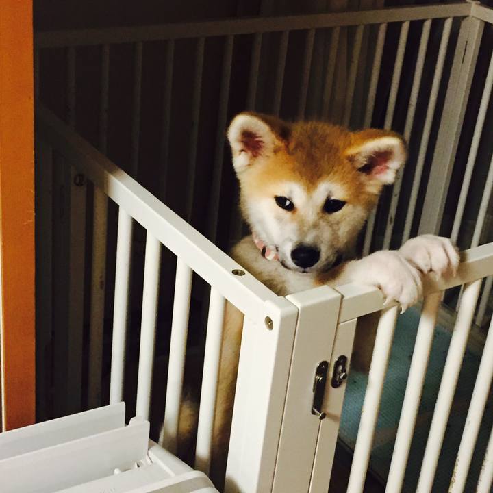 18bd5eda ca13 423b a7ba f02a48336f59