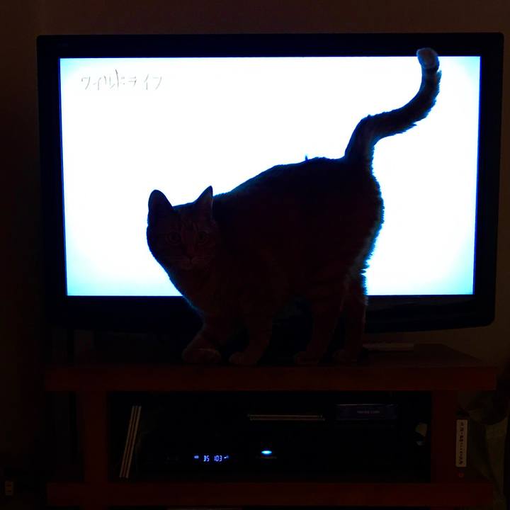 18bd9297 2412 4355 bd50 75325fc9c85e