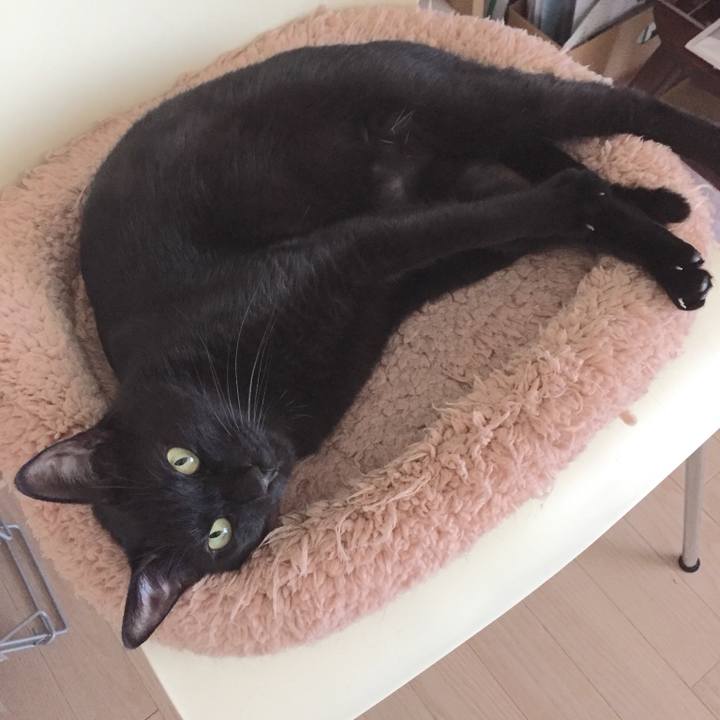 18bdd65f ec10 4260 acea 90bda30434b6