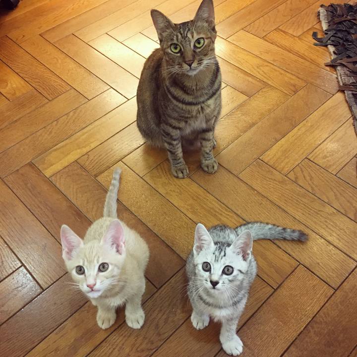 18be829a e98a 4c58 ac1e b07bce86fd95