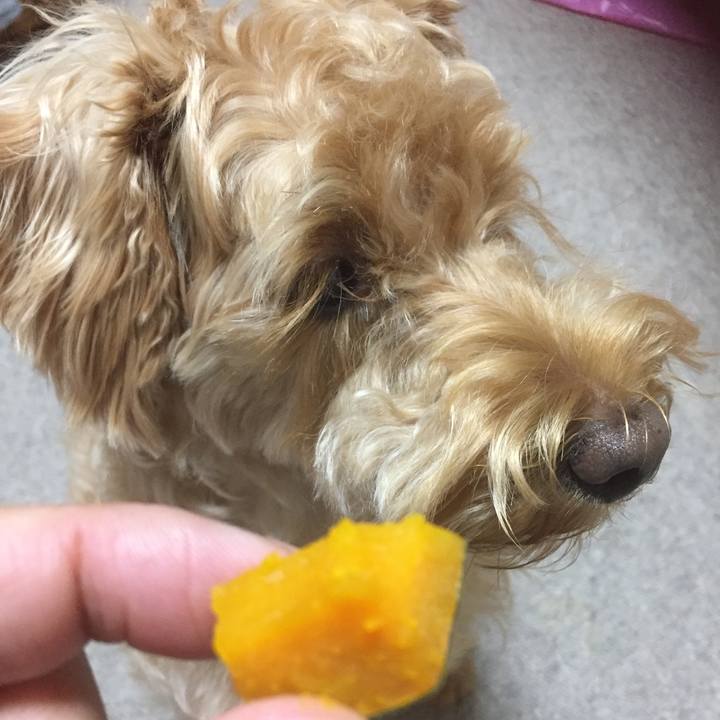 18beef37 e1eb 4374 9ad2 4dc423fe099f