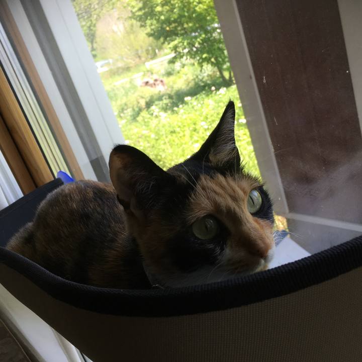 18bef757 a243 4158 a4f4 9ff0bd1fadd6