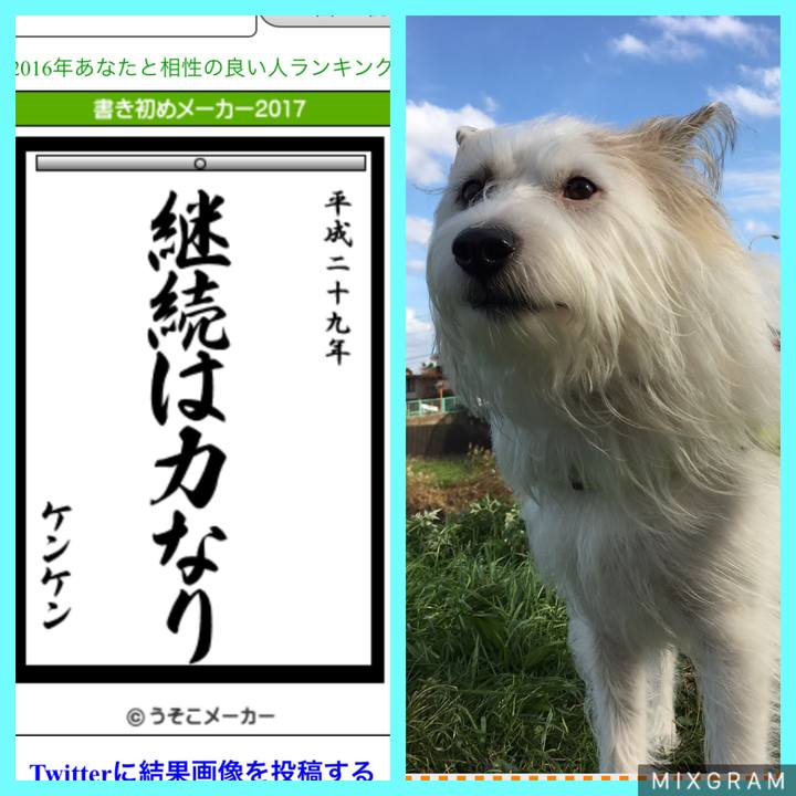 18bf2240 75ab 4d05 a840 baadbb9f39dc