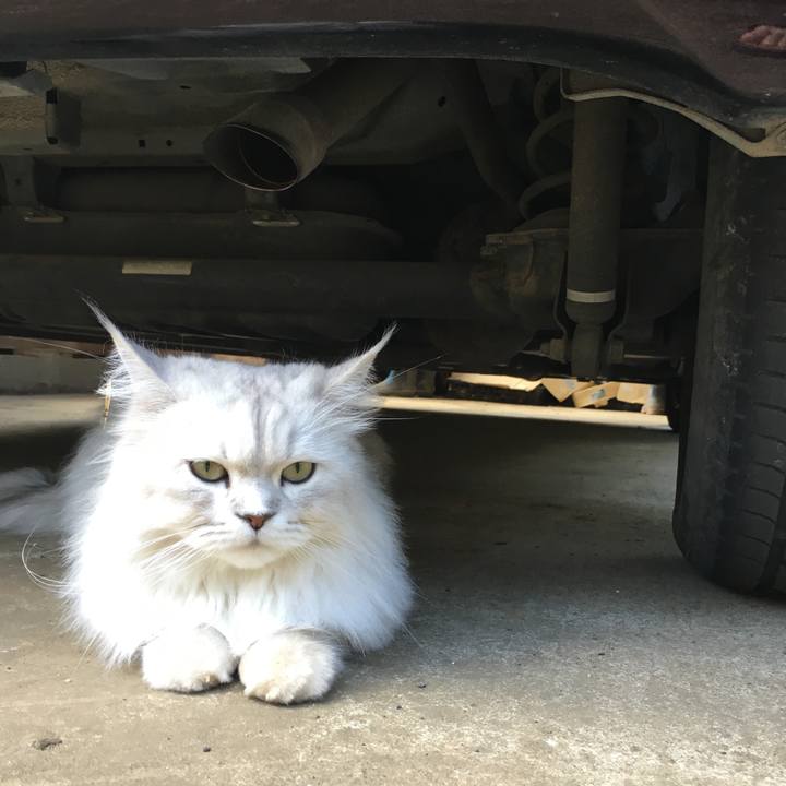 18bf3a30 0dfc 49de 930c 9046f1ca38eb