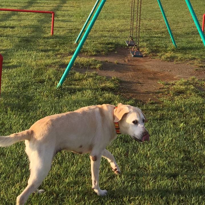 18bf6d80 a3a5 4516 859d 5efa8bc4d4bc