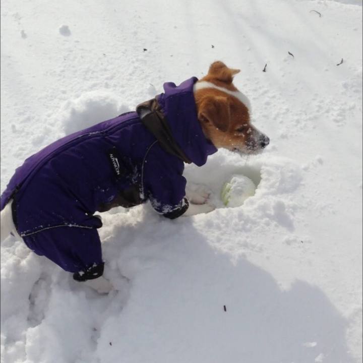 18bfd80a 3efd 40aa 921b 602667adf437