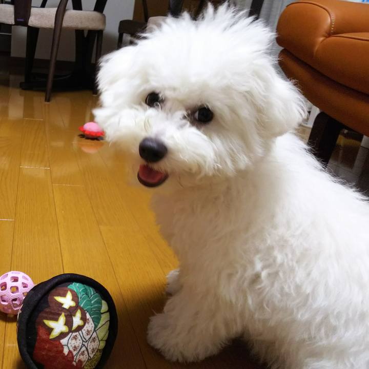 18bfdbb0 b03c 4506 b4a8 bb630b0a37d0