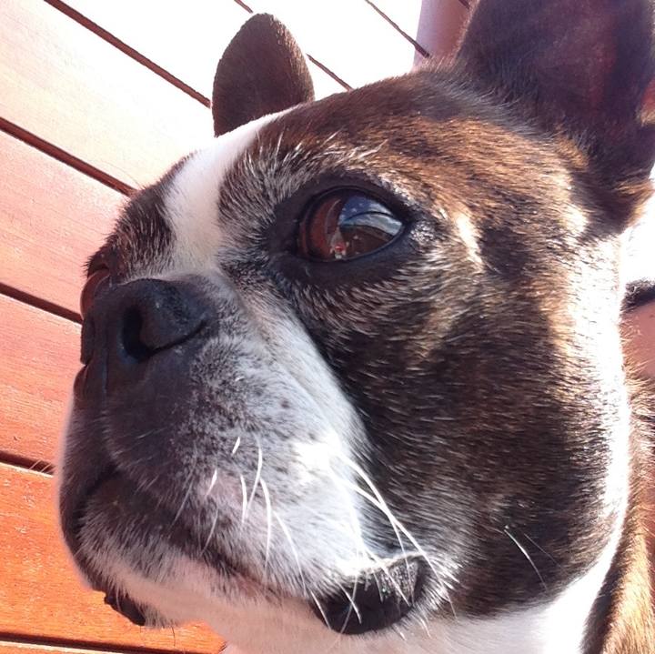 18c000b9 ce1f 415e 98aa a69cfe2e8670