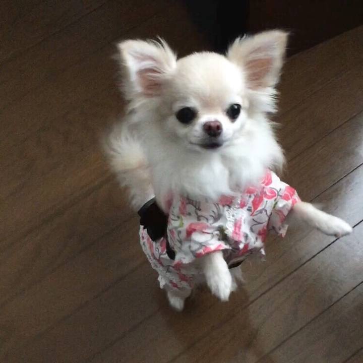 18c117b6 826a 43f3 b6cb 1d8af4884e6a