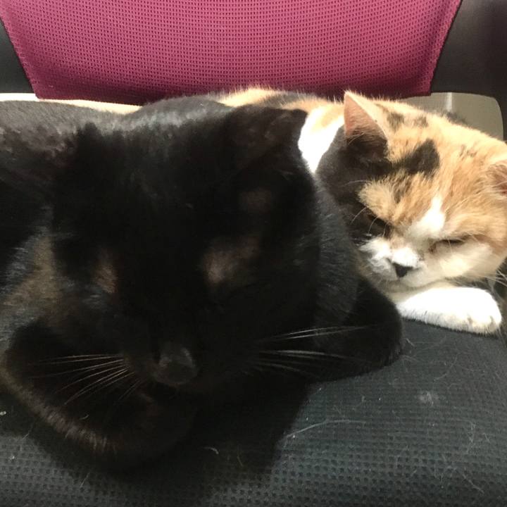 18c14a9a d236 49a8 8279 73db6caf5dc5