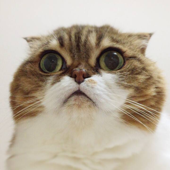 18c18321 ba7c 49e0 9f96 964304b263fa