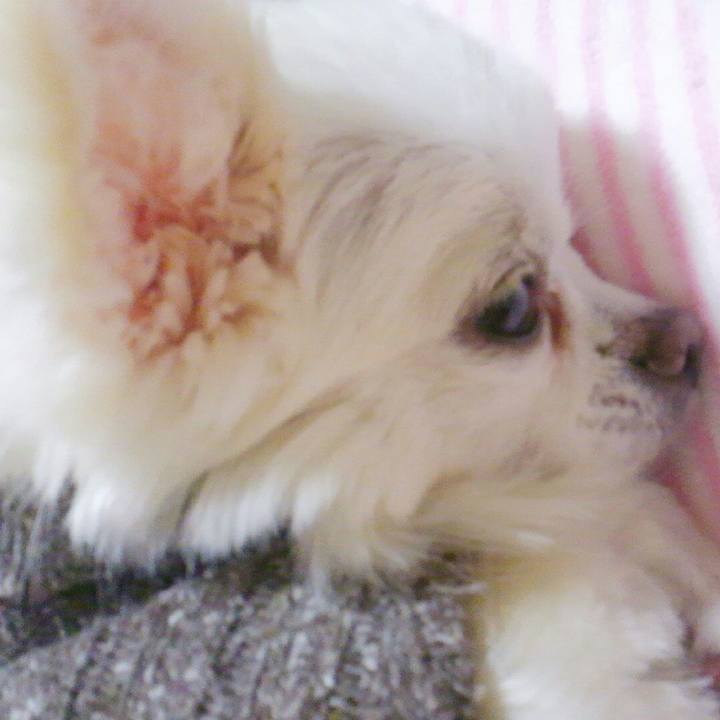 18c1a170 1645 490f 952f b077286f6d89