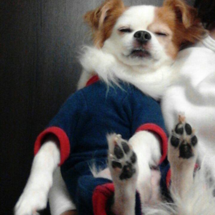 18c2696d 1266 4e02 8889 0fe52ca26d76