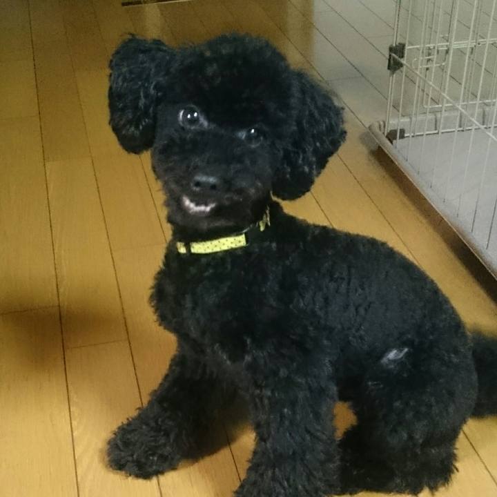 18c26d74 4f2c 44b3 81f9 b2105d349184