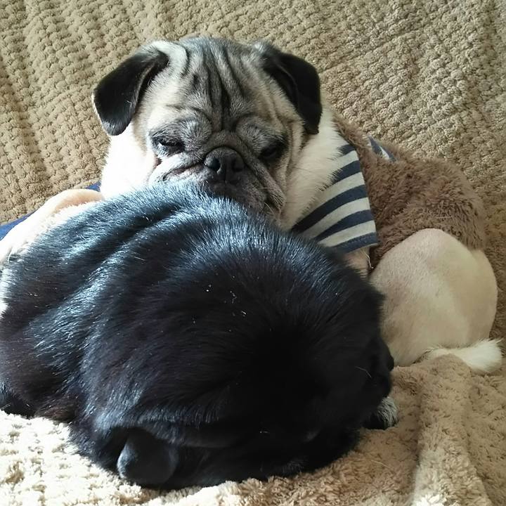 18c2aca8 5b93 4015 8da5 a17a74eaeab1