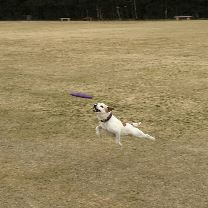 18c2cb03 b5dd 4bc4 8a4c 071fb4b77014