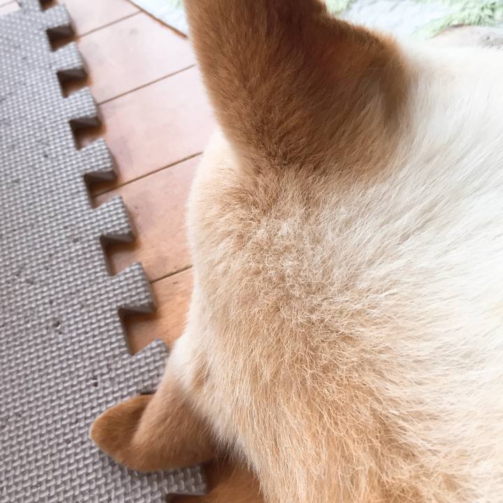 18c3aeb6 b4a9 4409 b41e fdf6efe2b645