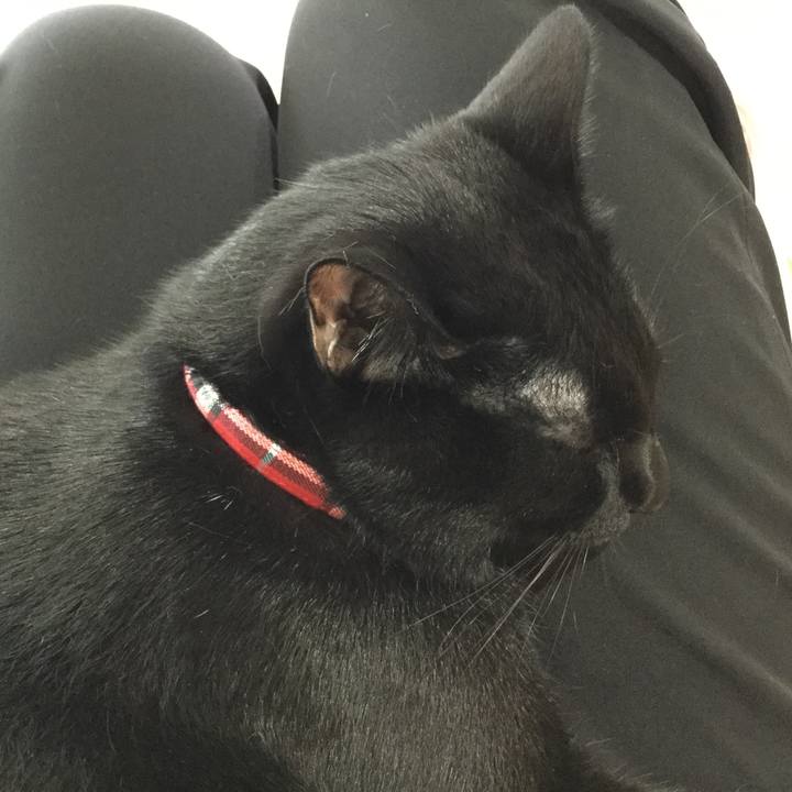 18c3dcb1 969c 471e b7f0 1bf0daf1a9b4