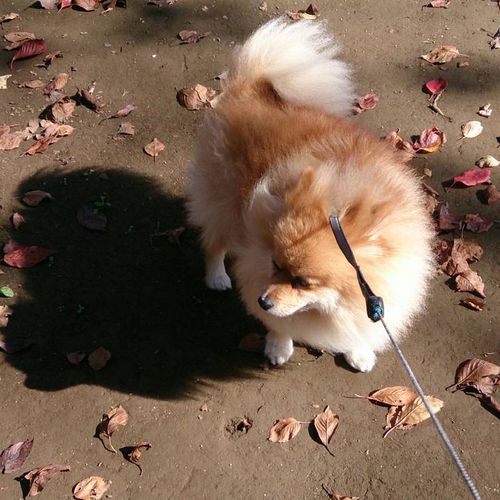 18c3f6e8 1eb1 461d bff9 0294c1ca8422