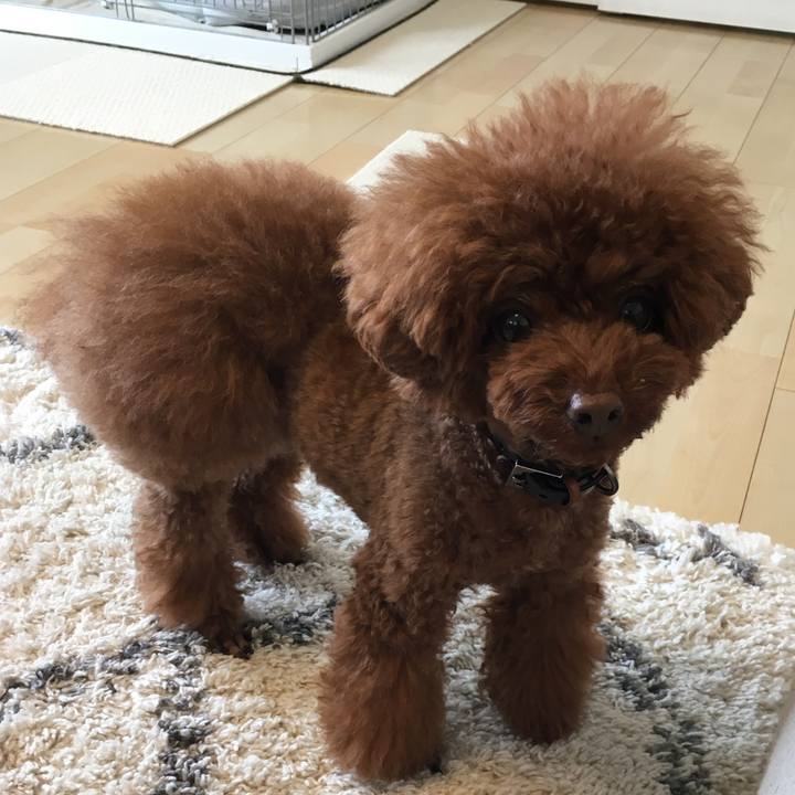 18c44044 3647 41f5 b39a 47b5ee27f481