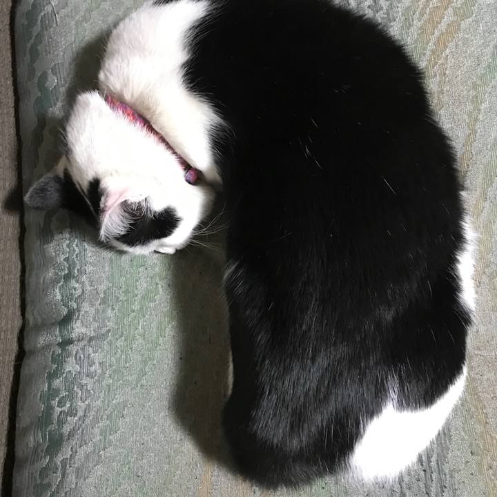 18c4bcce a04e 427e b4e6 ecf16bcb1613