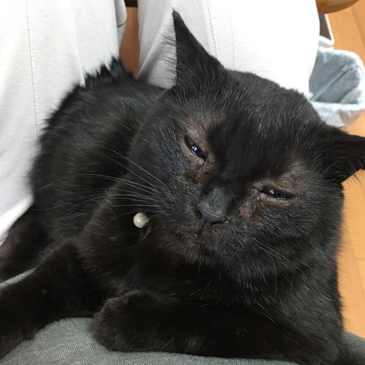 18c4c4db a562 49d7 a040 6fe6d7f0a9c0