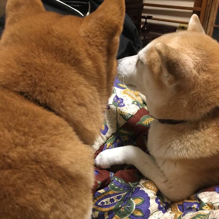 18c5781e d21d 4234 838f 31a088cd600d