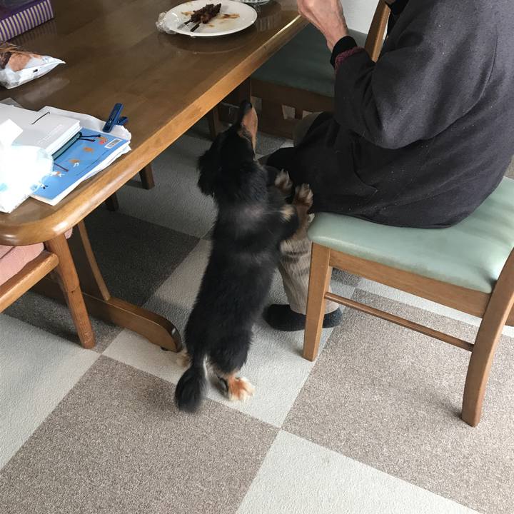 18c60050 b15f 4f11 a314 37eaa1ba18bd