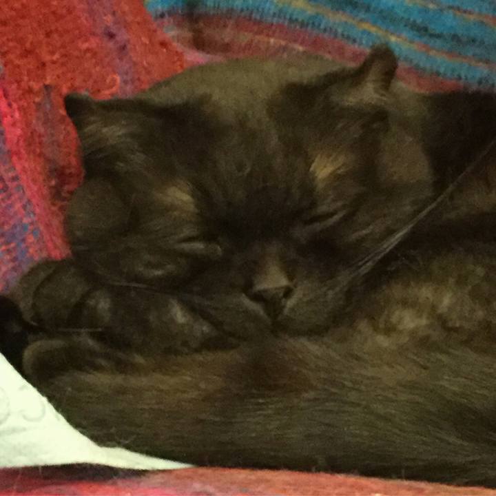 18c6ed5c e315 4c5a 95f5 f849bafae2cf