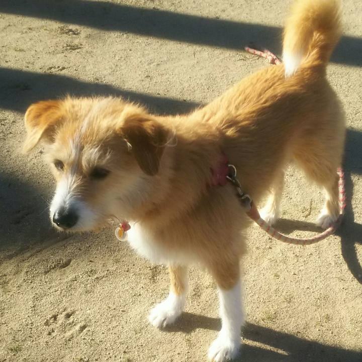 18c88a58 d7d4 4ad4 a66b 8c1b6661f0a7