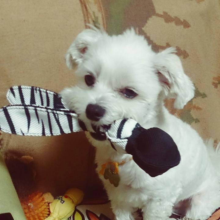 18c899ac ffb3 44e2 b5a1 efd2b636082c