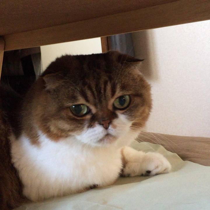 18c8a4f2 d878 4e49 a0a1 649307454055