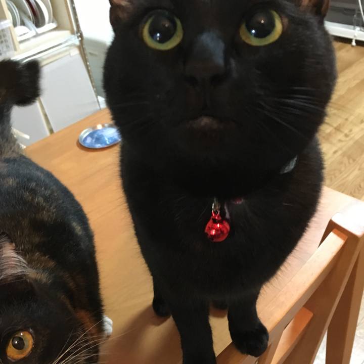 18c8ae41 a362 47a2 a1b9 fc6999576200