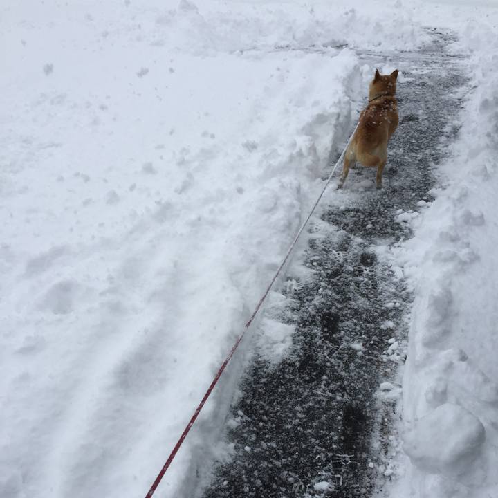 18c9979c bfed 4964 9920 83ddd5f8222d