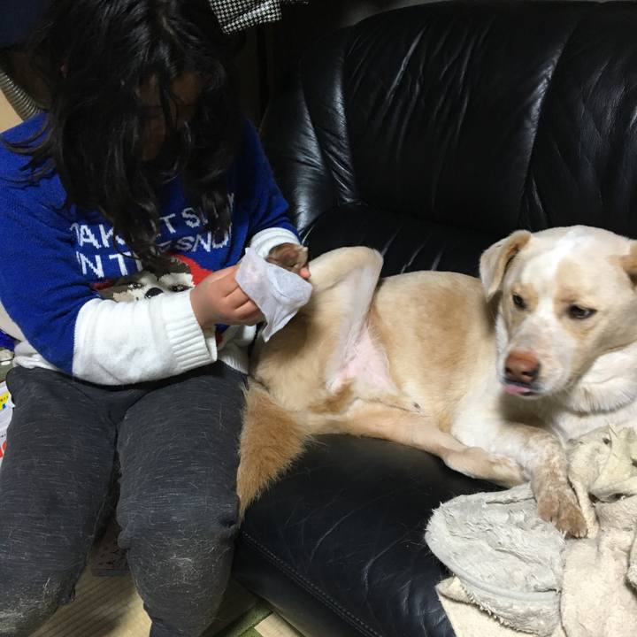 18c9a1d0 61ed 438f afa5 6bebff395cb0