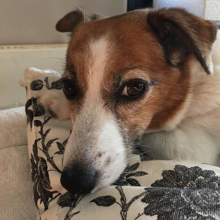 18ca56b9 5fc7 4d50 b999 429c1ac1652f